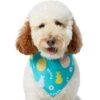 Frisco Spring Easter Egg Dog & Cat Bandana -Pawfect Care 300663 MAIN. AC SS1800 V1641507404