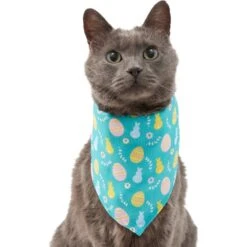 Frisco Spring Easter Egg Dog & Cat Bandana -Pawfect Care 300663 PT2. AC SS1800 V1641537094