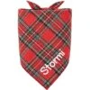Frisco Tartan Plaid Embroidered Personalized Dog & Cat Bandana -Pawfect Care 301157 MAIN. AC SS1800 V1628011946