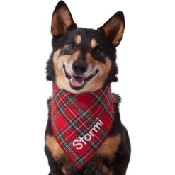 Frisco Tartan Plaid Embroidered Personalized Dog & Cat Bandana -Pawfect Care 301157 PT6. AC SS1800 V1628536009