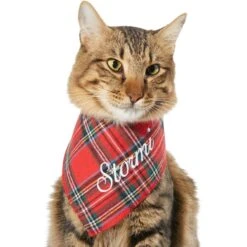 Frisco Tartan Plaid Embroidered Personalized Dog & Cat Bandana -Pawfect Care 301157 PT7. AC SS1800 V1628535770