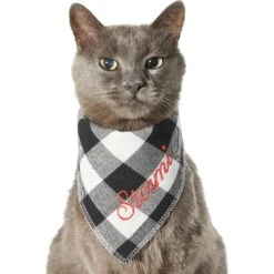 Frisco Buffalo Check Embroidered Personalized Dog & Cat Bandana -Pawfect Care 301162 PT7. AC SS1800 V1628535983