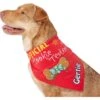 Frisco Official Cookie Tester Personalized Dog & Cat Bandana