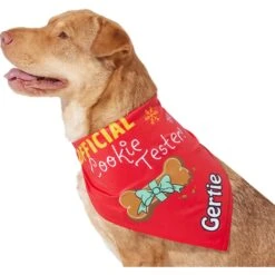 Frisco Official Cookie Tester Personalized Dog & Cat Bandana