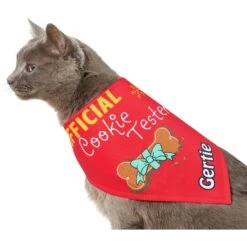 Frisco Official Cookie Tester Personalized Dog & Cat Bandana -Pawfect Care 301353 PT7. AC SS1800 V1628100072