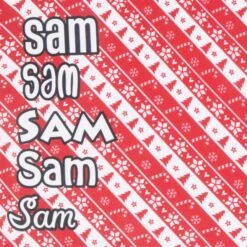 Frisco Fair Isle Personalized Dog & Cat Bandana -Pawfect Care 301357 PT4. AC SS1800 V1627654637