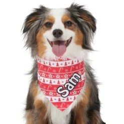 Frisco Fair Isle Personalized Dog & Cat Bandana -Pawfect Care 301357 PT6. AC SS1800 V1628100112