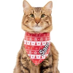 Frisco Fair Isle Personalized Dog & Cat Bandana -Pawfect Care 301357 PT7. AC SS1800 V1628100084