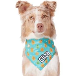Frisco Gingerbread Cookie Personalized Dog & Cat Bandana -Pawfect Care 301361 PT6. AC SS1800 V1628100109
