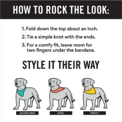 Frisco Buffalo Plaid Winter Animals Personalized Dog & Cat Bandana -Pawfect Care 301365 PT2. AC SS1800 V1623274348