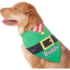 Frisco Santa's Favorite Elf Personalized Dog & Cat Bandana -Pawfect Care 301369 PT6. AC SS1800 V1628100146