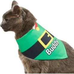 Frisco Santa's Favorite Elf Personalized Dog & Cat Bandana -Pawfect Care 301369 PT7. AC SS1800 V1628100114