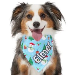 Frisco Snowman & Presents Personalized Dog & Cat Bandana -Pawfect Care 301373 PT6. AC SS1800 V1628100374