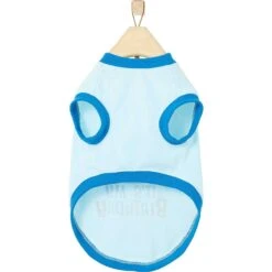 Frisco Happy Birthday Dog & Cat Crown & Frisco It's My Birthday & Cat T-Shirt -Pawfect Care 302470 PT6. AC SS1800 V1623065555