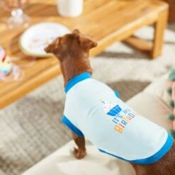 Frisco Happy Birthday Dog & Cat Crown & Frisco It's My Birthday & Cat T-Shirt -Pawfect Care 302470 PT7. AC SS1800 V1623037657