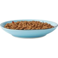 Frisco New York Non-skid Ceramic Cat Dish & Frisco New York Non-skid Ceramic Cat Bowl -Pawfect Care 302488 PT2. AC SS1800 V1623059244