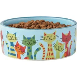 Frisco New York Non-skid Ceramic Cat Dish & Frisco New York Non-skid Ceramic Cat Bowl -Pawfect Care 302488 PT6. AC SS1800 V1623041543