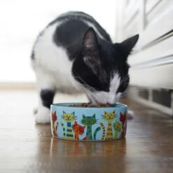 Frisco New York Non-skid Ceramic Cat Dish & Frisco New York Non-skid Ceramic Cat Bowl -Pawfect Care 302488 PT8. AC SS1800 V1623091056
