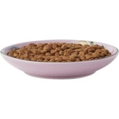 Frisco Paris Non-skid Ceramic Cat Dish & Frisco Paris Non-skid Ceramic Cat Dish -Pawfect Care 302490 PT2. AC SS1800 V1623058041