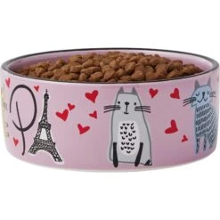 Frisco Paris Non-skid Ceramic Cat Dish & Frisco Paris Non-skid Ceramic Cat Dish -Pawfect Care 302490 PT6. AC SS1800 V1623067060