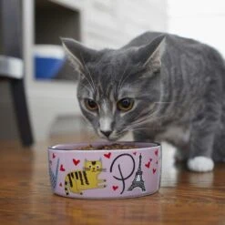 Frisco Paris Non-skid Ceramic Cat Dish & Frisco Paris Non-skid Ceramic Cat Dish -Pawfect Care 302490 PT8. AC SS1800 V1623043046