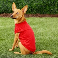 Frisco Basic Dog & Cat T-Shirt & Frisco Basic Dog & Cat T-Shirt -Pawfect Care 302652 PT3. AC SS1800 V1623040045