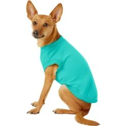 Frisco Basic Dog & Cat T-Shirt & Frisco Basic Dog & Cat T-Shirt -Pawfect Care 302652 PT5. AC SS1800 V1623086567