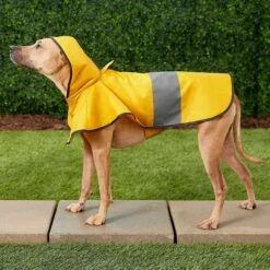 Frisco Lightweight Rainy Days Dog Raincoat & Frisco Lightweight Flamingo Dog Raincoat -Pawfect Care 302828 PT4. AC SS1800 V1623042144