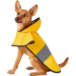 Frisco Lightweight Rainy Days Dog Raincoat & Frisco Lightweight Rubber Ducky Dog Raincoat -Pawfect Care 302842 PT1. AC SS1800 V1623051164