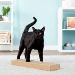 MidWest Curious Cube Cat Condo & MidWest Catty Scratch Cat Scratcher With Catnip -Pawfect Care 302904 PT8. AC SS1800 V1623049059