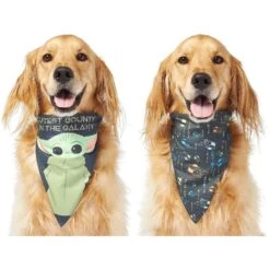 STAR WARS THE MANDALORIAN GROGU "Cutest Bounty" Reversible Dog & Cat Bandana & STAR WARS THE MANDALORIAN GROGU "Left Unsupervised" Dog & Cat T-Shirt -Pawfect Care 303014 PT2. AC SS1800 V1632367833