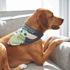 STAR WARS THE MANDALORIAN GROGU "Cutest Bounty" Reversible Dog & Cat Bandana & STAR WARS THE MANDALORIAN GROGU "Left Unsupervised" Dog & Cat T-Shirt -Pawfect Care 303014 PT5. AC SS1800 V1632371175
