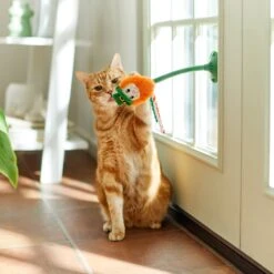 Frisco St. Patrick's Leprechaun Suction Cup Teaser Cat Toy With Catnip -Pawfect Care 303110 PT3. AC SS1800 V1641230446