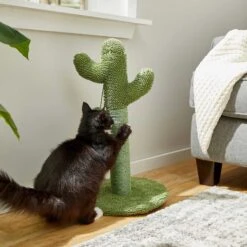 Frisco Cactus Cat Scratching Post & Frisco Dangly Avocado Buddy Plush Cat Toy With Catnip -Pawfect Care 303380 PT3. AC SS1800 V1623081149