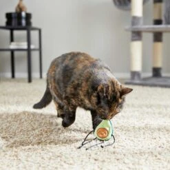 Frisco Cactus Cat Scratching Post & Frisco Dangly Avocado Buddy Plush Cat Toy With Catnip -Pawfect Care 303380 PT6. AC SS1800 V1623085642