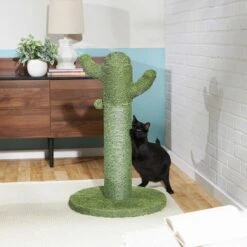 Frisco Cactus Cat Scratching Post & Frisco Taco Plush Cat Toy With Catnip -Pawfect Care 303382 PT3. AC SS1800 V1623071255