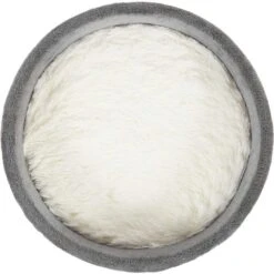 Frisco Modern Round Elevated Cat Bed & Frisco Modern Tunnel Elevated Cat Bed -Pawfect Care 303470 PT3. AC SS1800 V1623085360