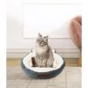 HappyCare Textiles Round Cat Bed -Pawfect Care 304153 MAIN. AC SS1800 V1622755069