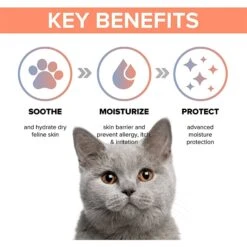 PetO'Cera Cat Body Wash -Pawfect Care 304904 PT3. AC SS1800 V1626394638