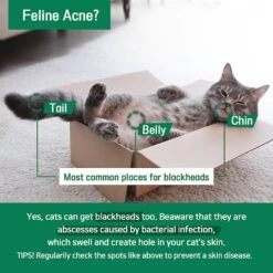 PetO'Cera Cica Toner Cat Acne & Blackhead Treatment, 7.1-oz Bottle -Pawfect Care 304915 PT3. AC SS1800 V1626388570