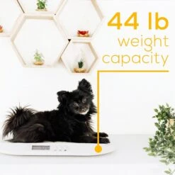 Beurer Bluetooth Dog & Cat Scale -Pawfect Care 305332 PT2. AC SS1800 V1642775789