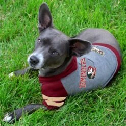 Pets First Sport Team Dog & Cat Hoodie T-Shirt -Pawfect Care 305556 PT2. AC SS1800 V1632419479