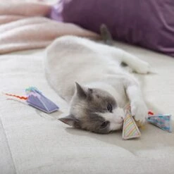 Frisco Spring Party Hat Kickers Cat Toy With Catnip -Pawfect Care 306960 PT3. AC SS1800 V1703184746