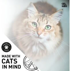 Cat Space Dry Bath Cat Shampoo, 10-oz Bottle -Pawfect Care 307892 PT4. AC SS1800 V1624658870