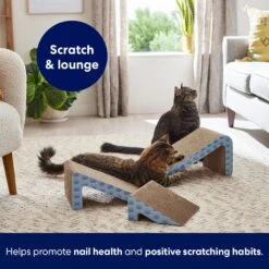 Frisco Nesting Cat Scratcher Toy With Catnip -Pawfect Care 308876 PT5. AC SS1800 V1691785301