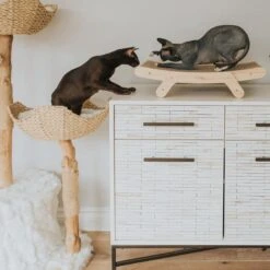 Mau Lifestyle Cardboard Cat Scratcher -Pawfect Care 308909 PT3. AC SS1800 V1635198754