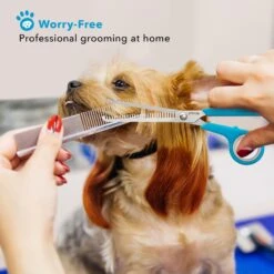 Boshel 7-in Dog Thinning Shears -Pawfect Care 309505 PT4. AC SS1800 V1624490006