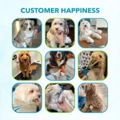 Boshel 7-in Dog Thinning Shears -Pawfect Care 309505 PT5. AC SS1800 V1624489050