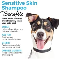 Shed Defender Sensitive Skin Oatmeal & Aloe Dog & Cat Shampoo, 16-oz Bottle -Pawfect Care 310181 PT3. AC SS1800 V1624920489