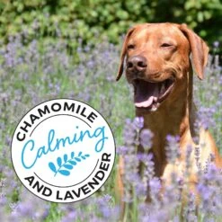 Shed Defender Sensitive Skin Oatmeal & Aloe Dog & Cat Shampoo, 16-oz Bottle -Pawfect Care 310181 PT5. AC SS1800 V1624922877